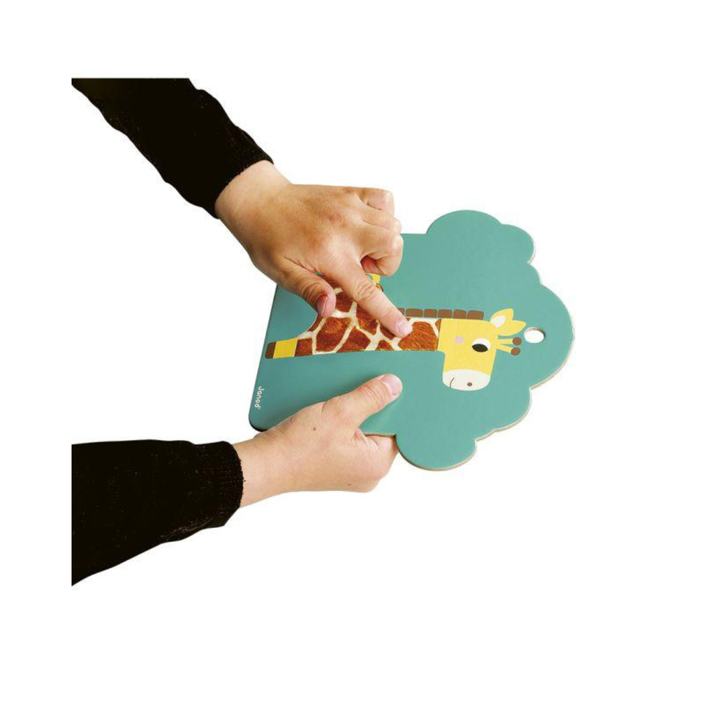 Cartas Táctiles Sabana