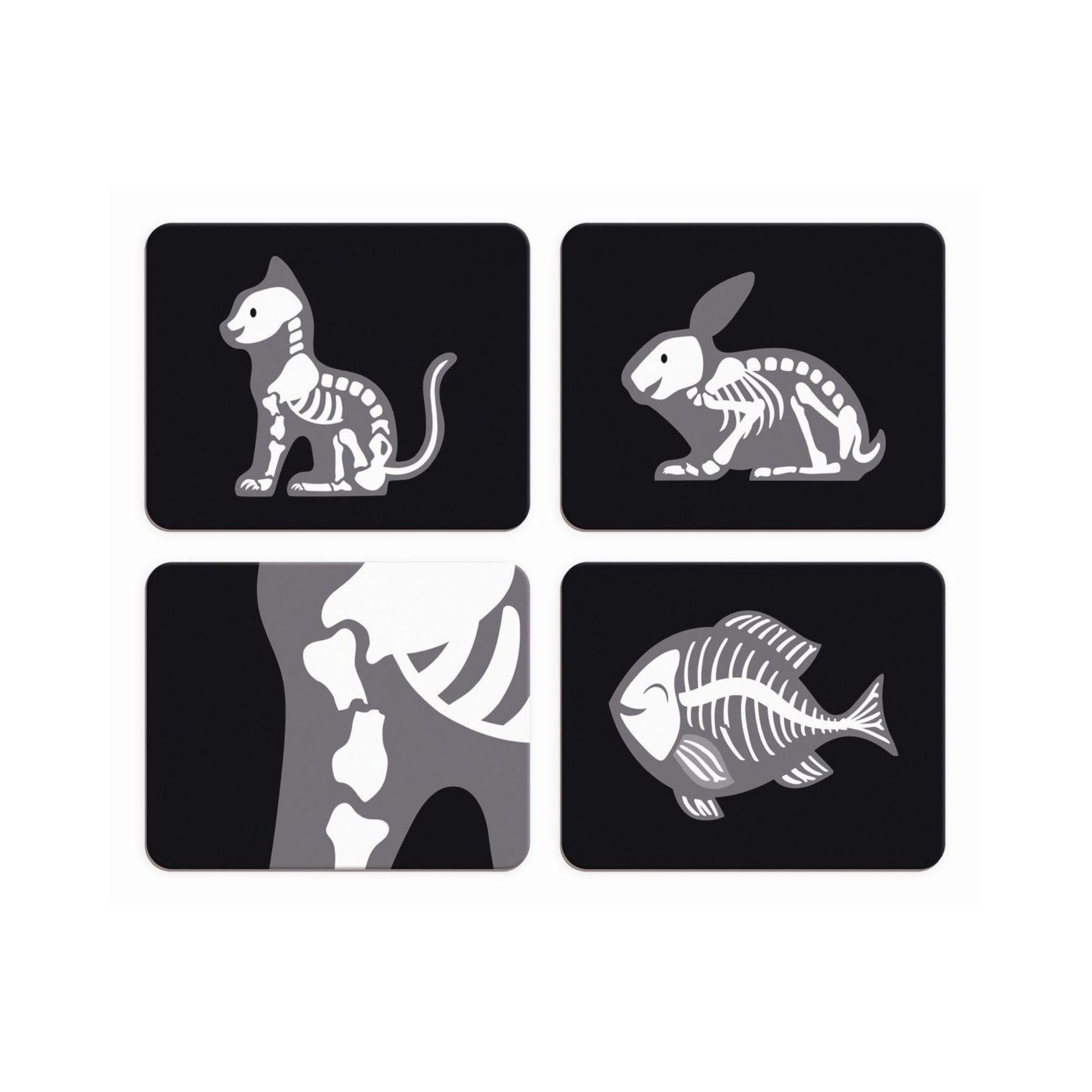 Maletín de Veterinario