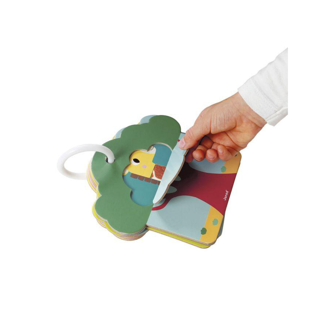 Cartas Táctiles Sabana