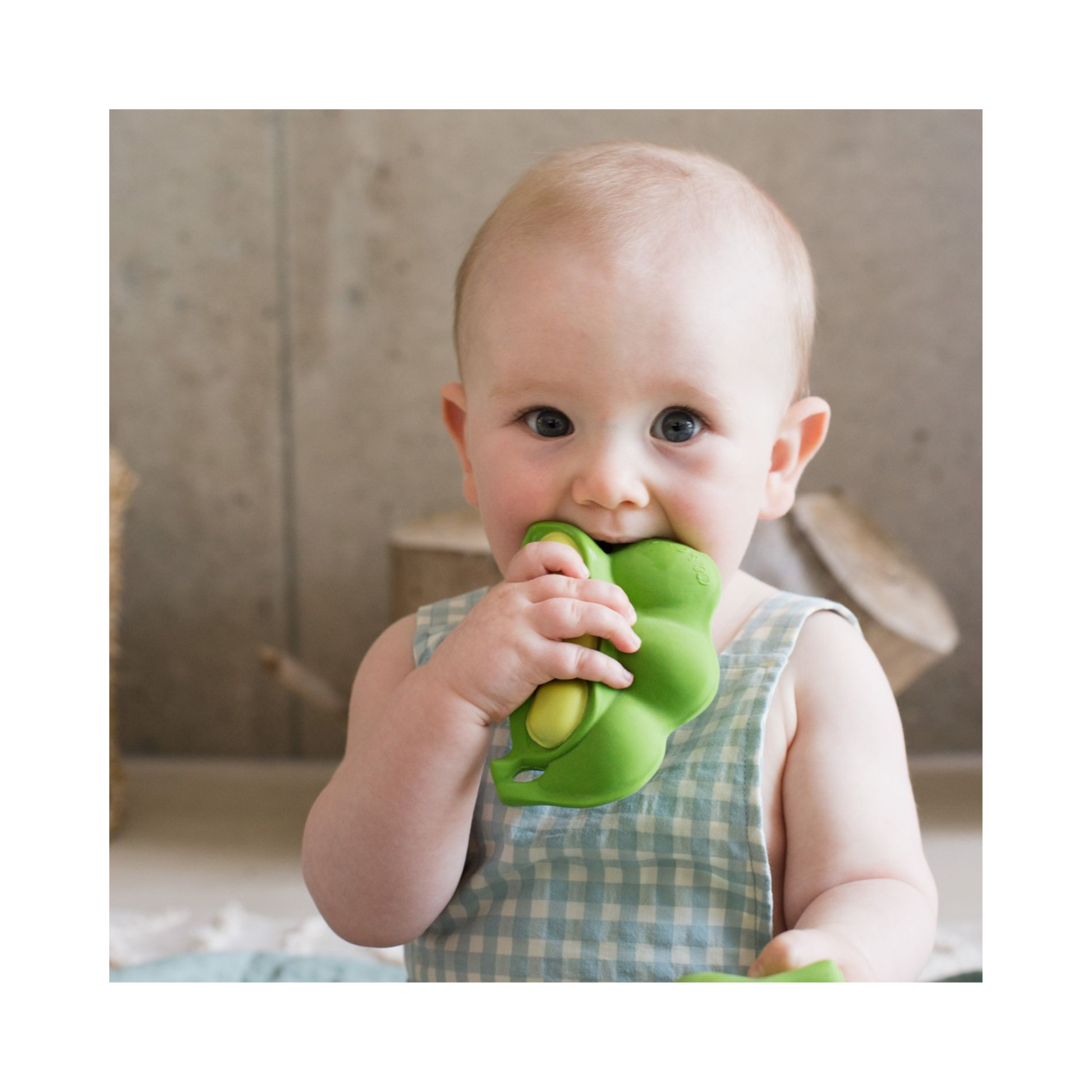 Mordedor Keiko the Edamame Oli&Carol