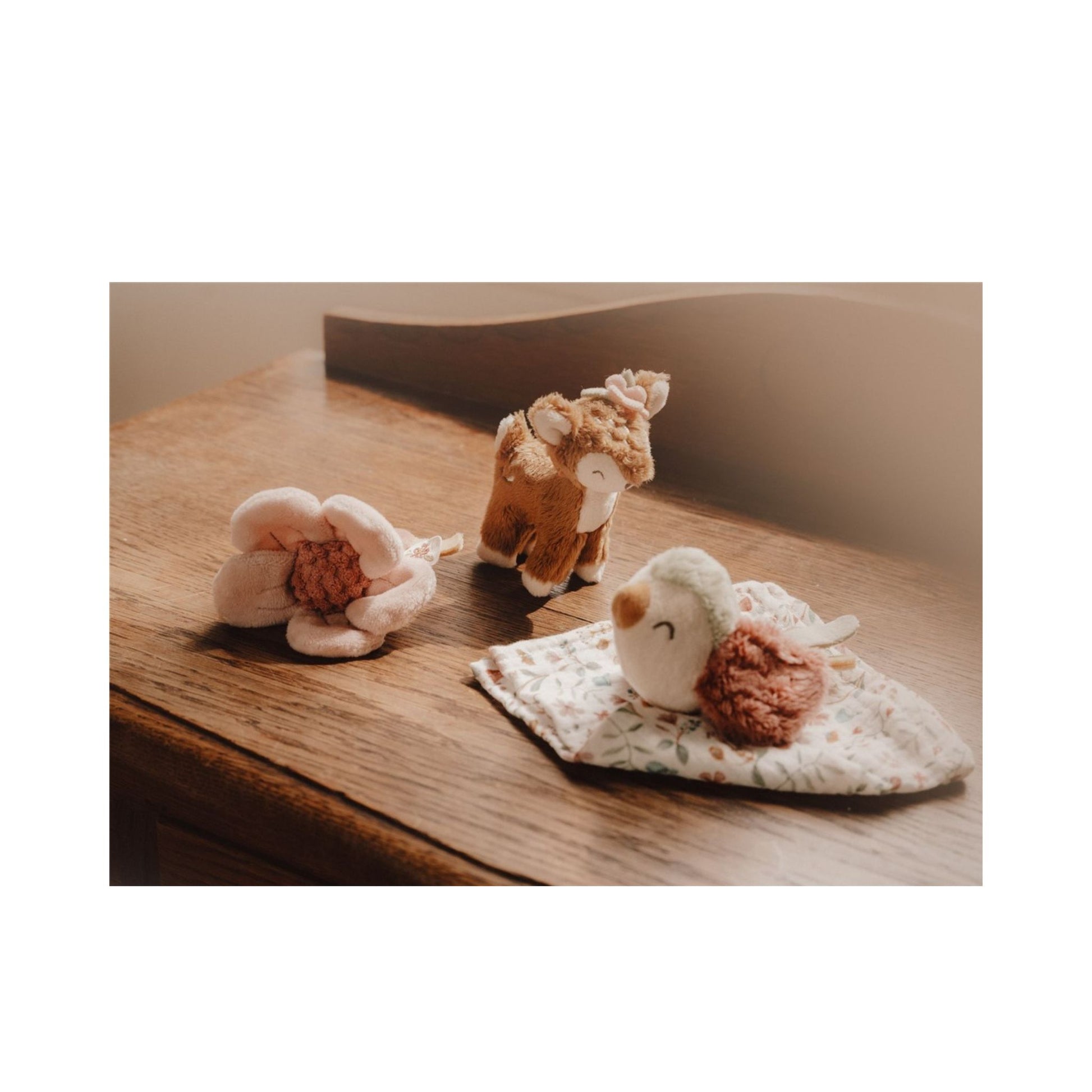 Caja Regalo Fairy Garden – Little Dutch