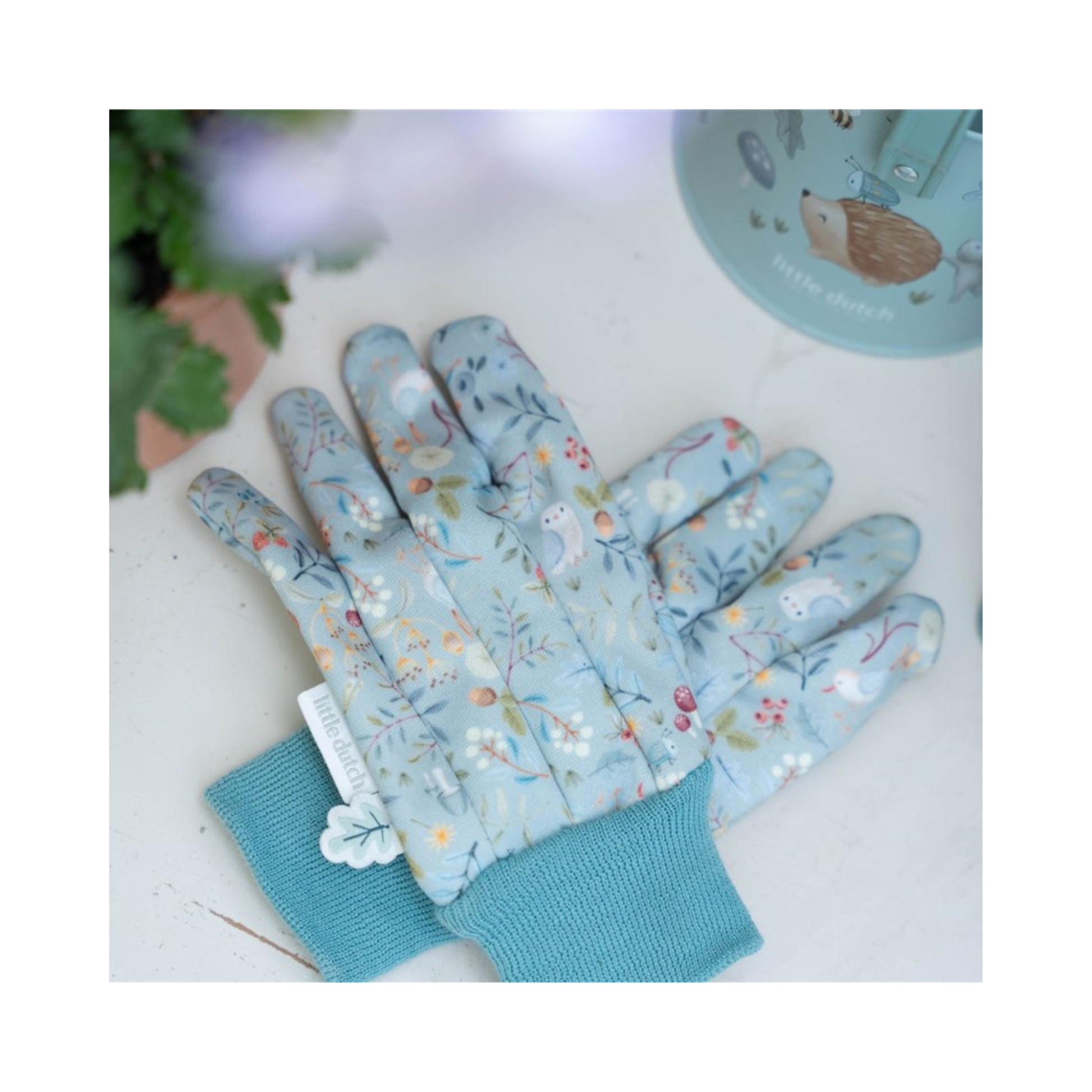 Set Regalo Jardín Little Dutch