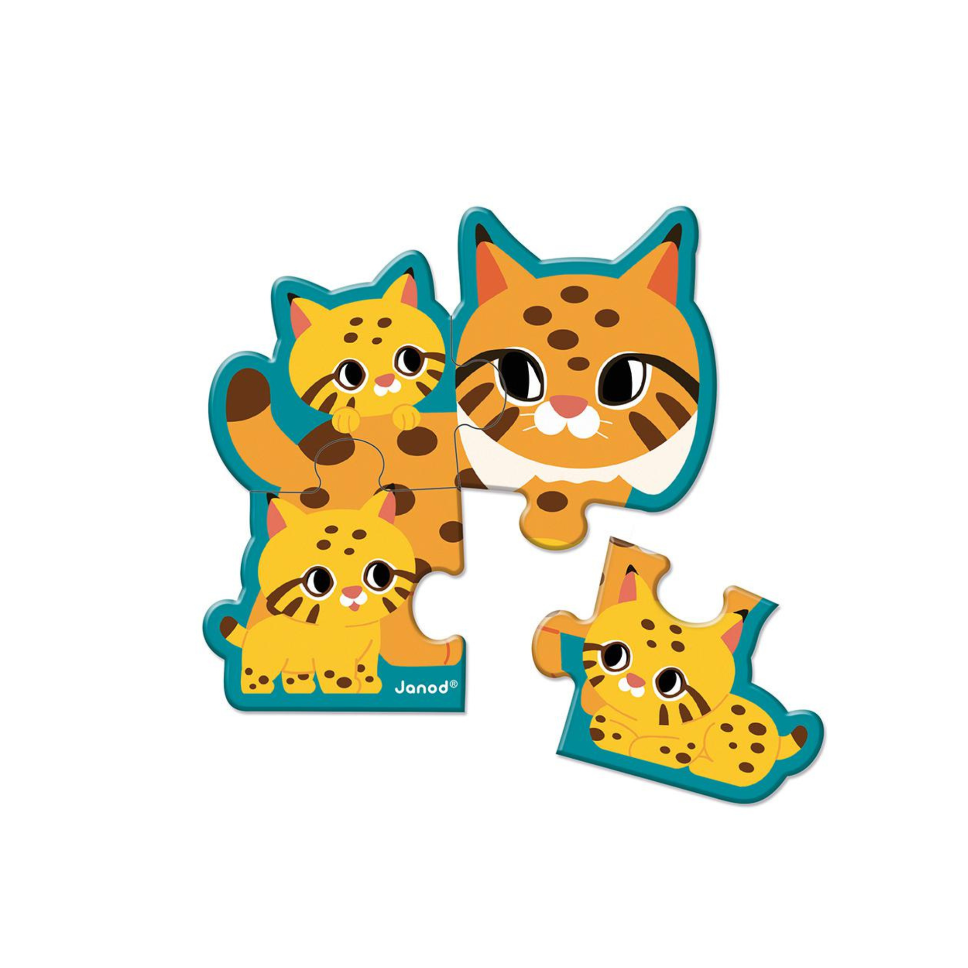 5 Puzles Evolutivos Animales