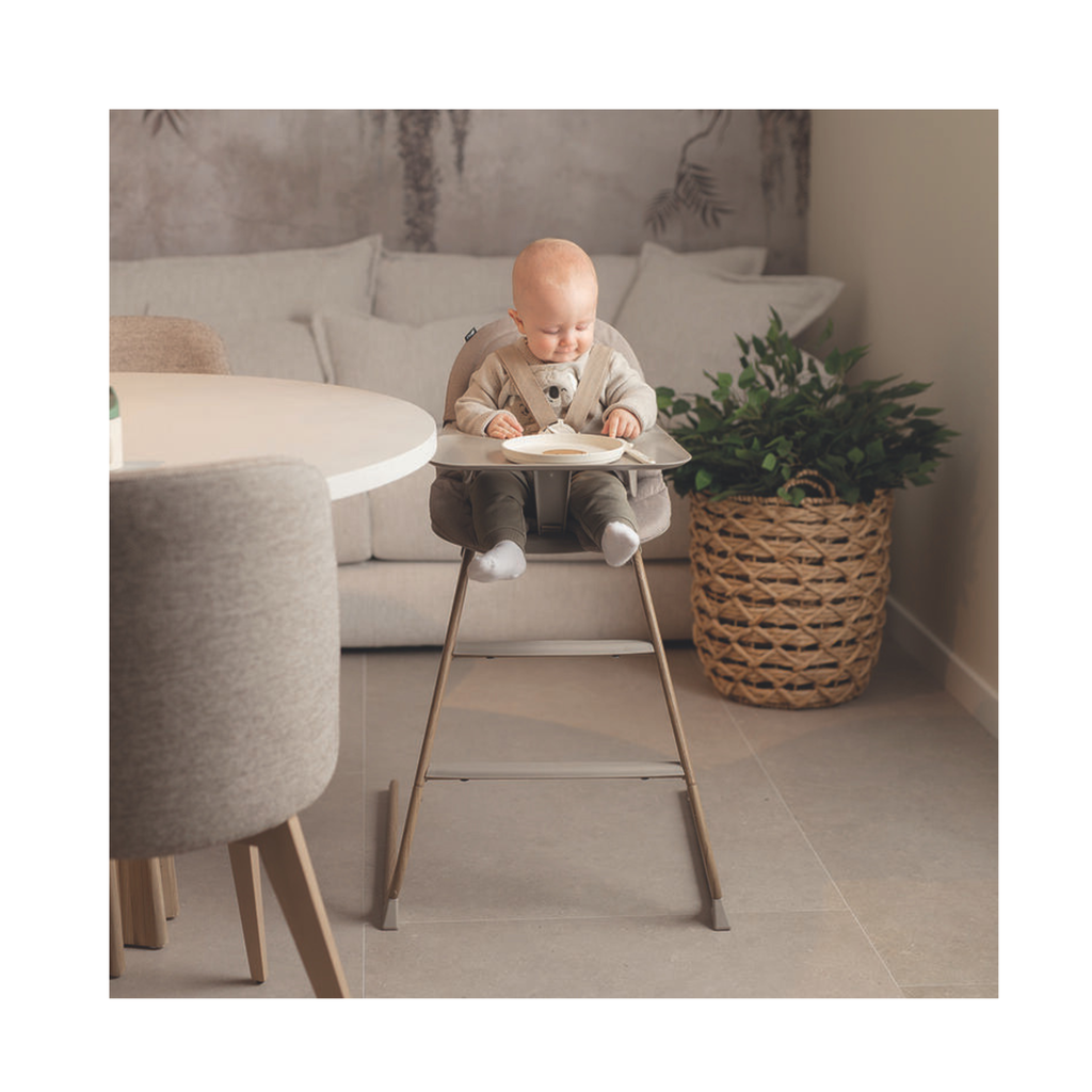 Hamaca + Trona 4 en 1 Aura