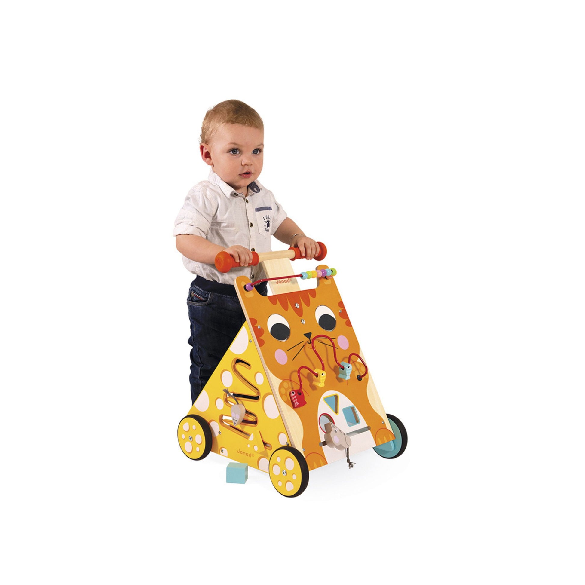 Caminador Multiactividades El Gato