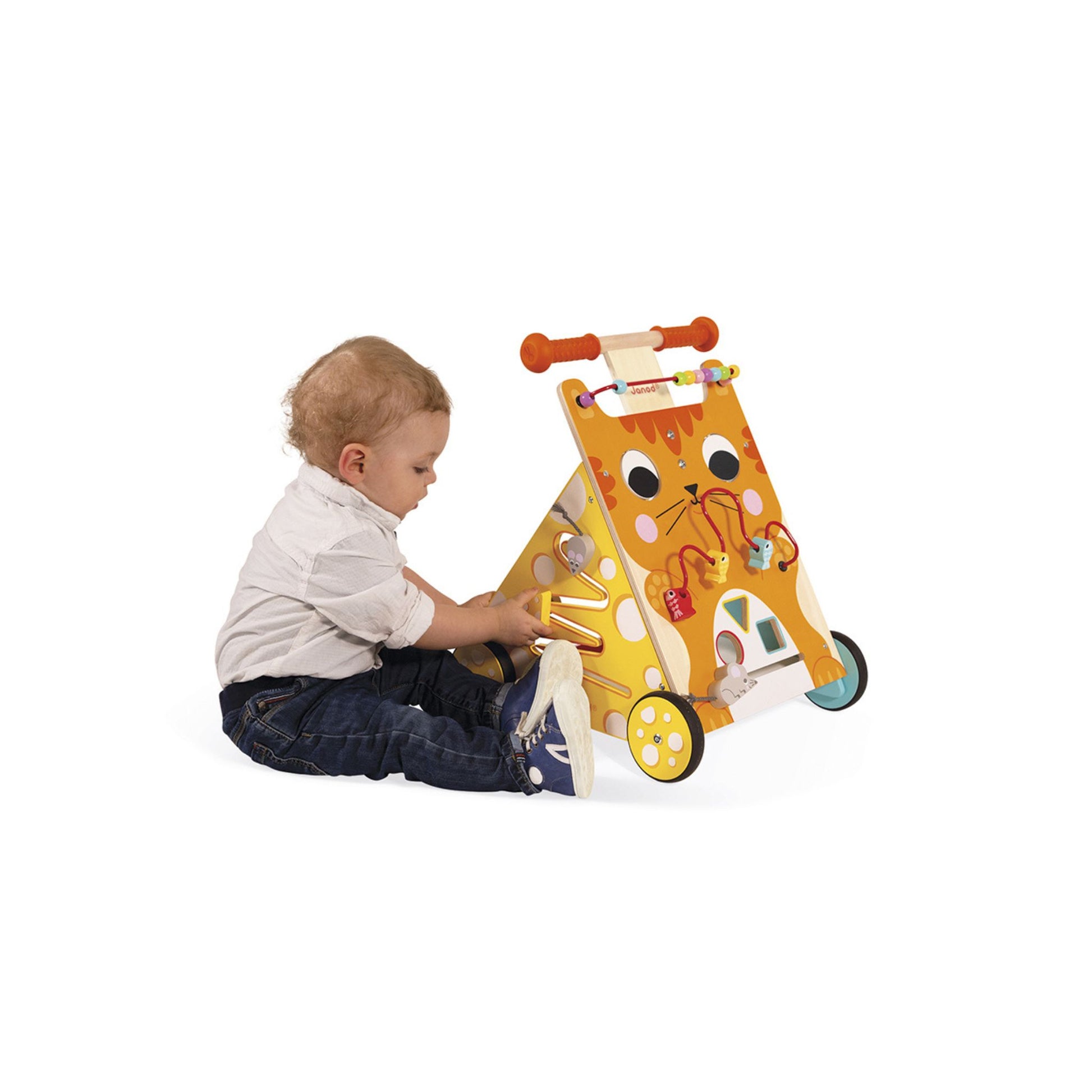 Caminador Multiactividades El Gato